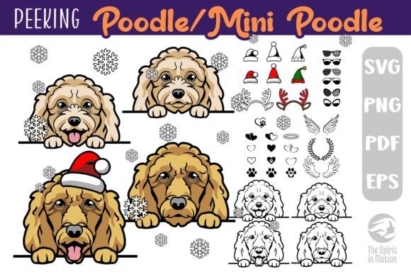 Download Poodle PNG, SVG, Clipart &amp; Cutfiles - Clipart Collection