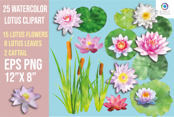 Download Watercolor Lotus Clipart - Clipart Collection