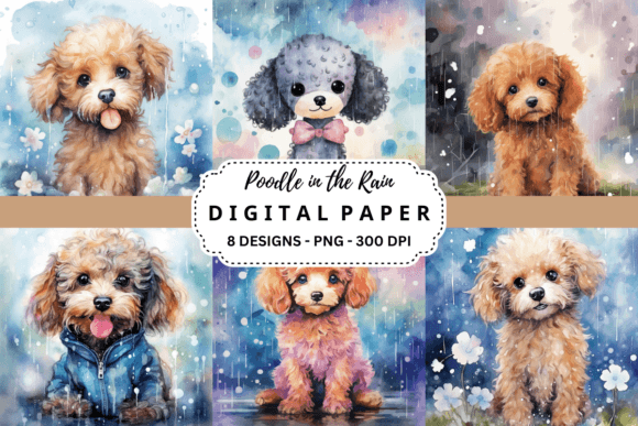 Download Cute Poodle in the Rain Background - Rain background Collection