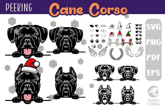Download Cane Corso SVG, Clipart &amp; Cutfiles - Clipart Collection